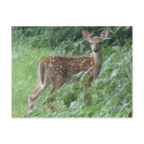 Bambi? postcards by HessyLu Bambi? postcards