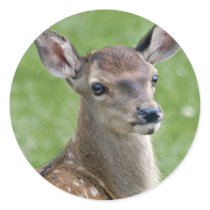 Bambi Sticker
