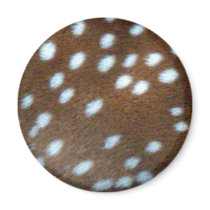 Bambi white dots on brown fur refrigerator magnets