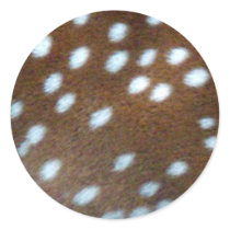 Bambi white dots on brown fur round stickers