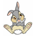 Bambi's Thumper shirt