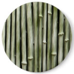 bamboe buttons