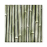 bamboe refrigerator magnets