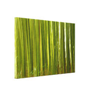 Bamboo abstract wrappedcanvas