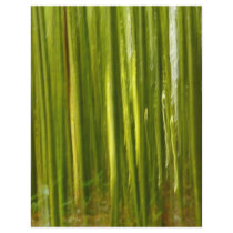 Bamboo abstract flyer
