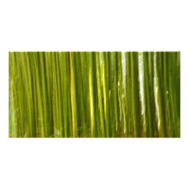 Bamboo abstract photo greeting card