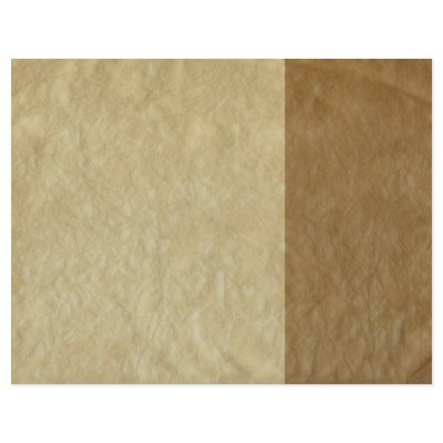 Bamboo Album Custom Letterhead by dianad1717