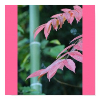 Bamboo and Leaves. print