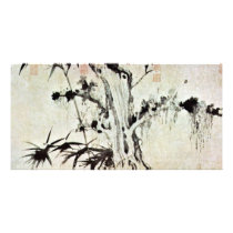 Bamboo And Weathered Tree By Wang T'Ing-Yün Photo Card