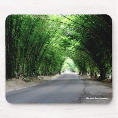 Bamboo Ave, Jamaica Mouse Mat by DesignR