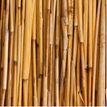 Bamboo Background Photo Sculpture