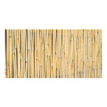 Bamboo background photo greeting card