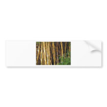 Bamboo Bumper Stickers