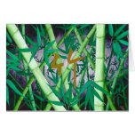 Bamboo Cards
