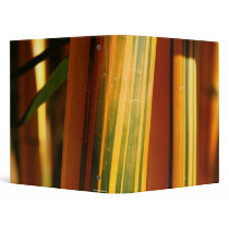 Bamboo closeup 3 ring binder
