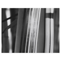 Bamboo closeup personalized flyer