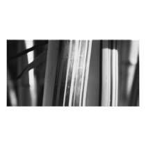 Bamboo closeup photo card template