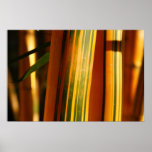 Bamboo closeup poster