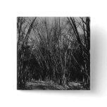Bamboo Clump, Trinidad, c.1891 Pinback Buttons