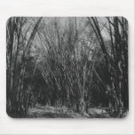 Bamboo Clump, Trinidad, c.1891 Mousepad