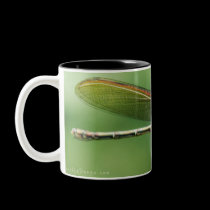 Bamboo Dragon Mug