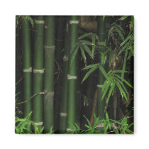 Bamboo ... Fao Rai, Nong Khai, Isaan, Thailand Fridge Magnets