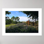 Bamboo Fence Perspective Poster