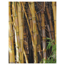 Bamboo Personalized Flyer