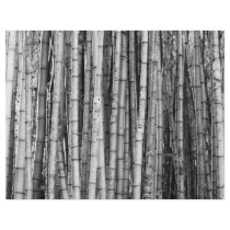 Bamboo Flyers