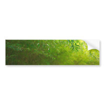 Bamboo forest bumper stickers