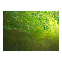 Bamboo forest invitations