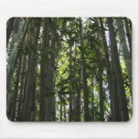 Bamboo Forest Mouse Mat