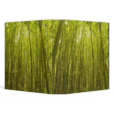 Bamboo Forest near Waikamoi Ridge Trail, North 3 Ring Binder by danitadelimont