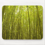 Bamboo Forest near Waikamoi Ridge Trail, North Mousepads
