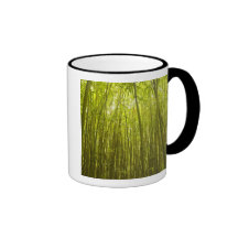 Bamboo Forest near Waikamoi Ridge Trail, North Mug