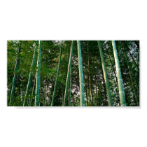 Bamboo Forest posters by wtmason Bamboo Forest posters