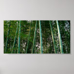 Bamboo Forest posters
