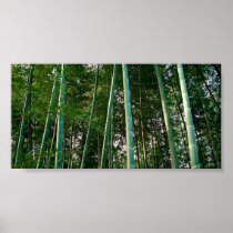 Bamboo Forest Print