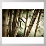 Bamboo forest posters