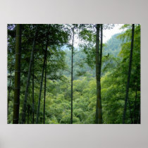 Bamboo Forest Print