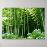 Bamboo Forest posters
