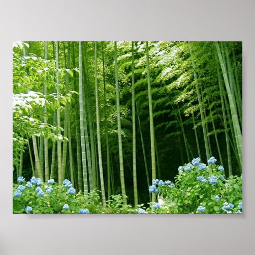 Bamboo Forest Poster