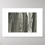 Bamboo Forest posters