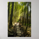 Bamboo Forest posters