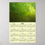 Bamboo forest posters