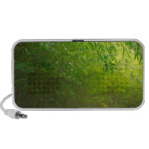 Bamboo forest laptop speakers