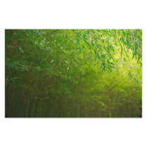Bamboo forest personalized stationery