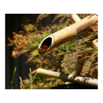 Bamboo Fountain posters by raptorsnaps Bamboo Fountain posters