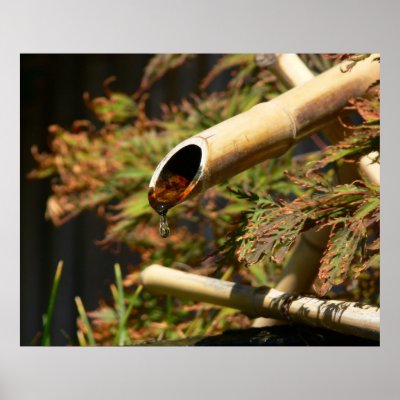 Bamboo Fountain Print by raptorsnaps