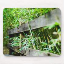 Bamboo (FreeWallpaperBlog.com) mousepads